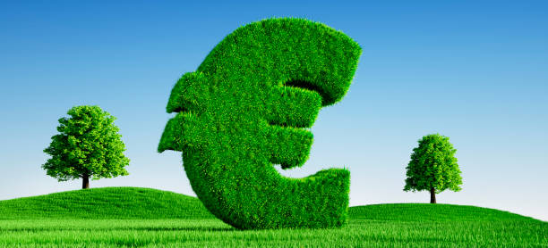 istock Euro Symbol covered with green grass 2155063514