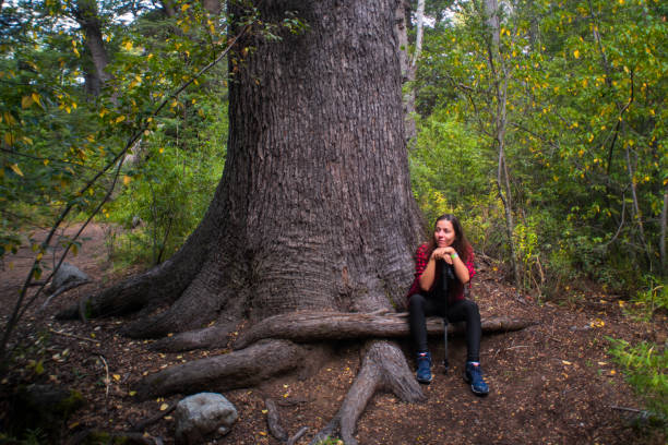 istock Woman in a Forest 2155066457