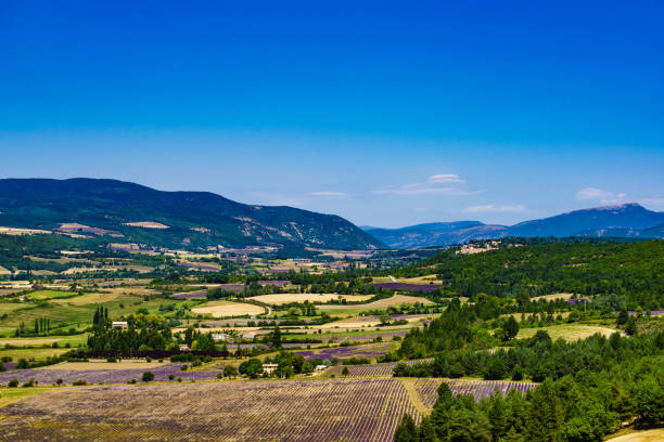 Provence landscape with lavender field and mountains. View from Belvedere de Saint Jean viewing point, Sault region, Vaucluse nature in France.
