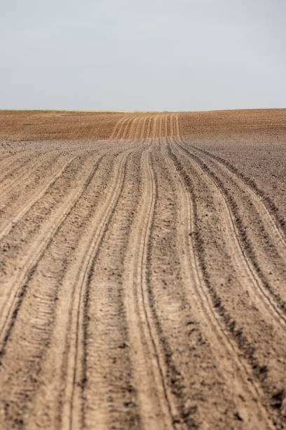 istock preparing the soil for planting plants in agriculture 2155075329