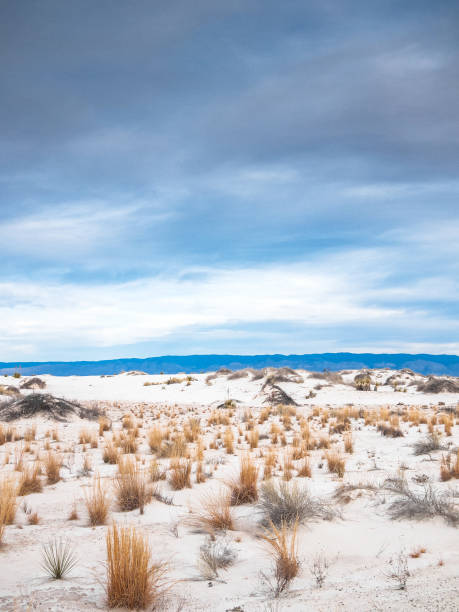 istock White sands desert landscape. New Mexico. 2155083963