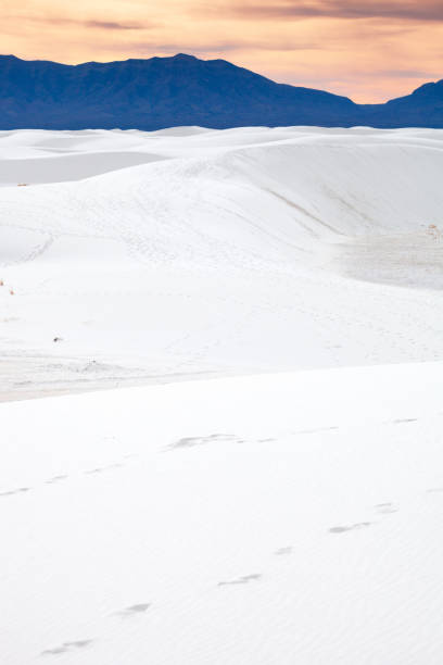 White Sands National Monument. New Mexico, USA