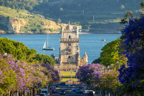 Belem Tower, Jacaranda Blooming Purple Blue Trees and Sailboat on Sunny Evening. Golden Hour. Lisbon, Portugal Belem Tower, Jacaranda Blooming Purple Blue Trees and Sailboat on Sunny Evening. Golden Hour. Lisbon, Portugal. jacaranda stock pictures, royalty-free photos & images