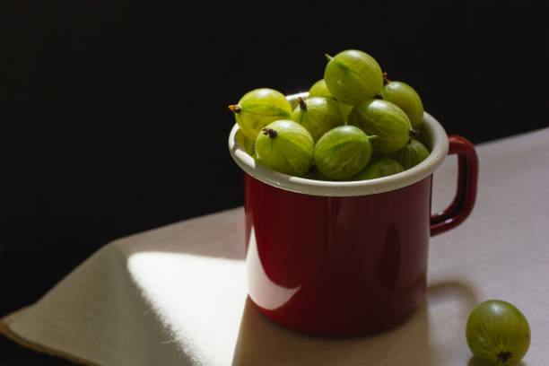 Gooseberry in a red enamel mug and natural sunlight. Fresh green berries on a light tablecloth.