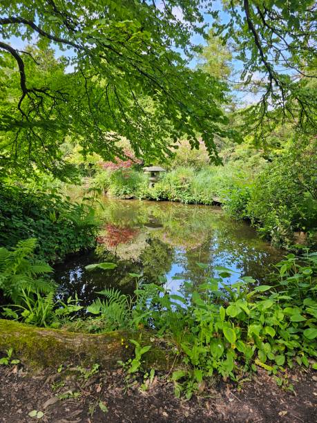 istock Japanese Garden 2155087280