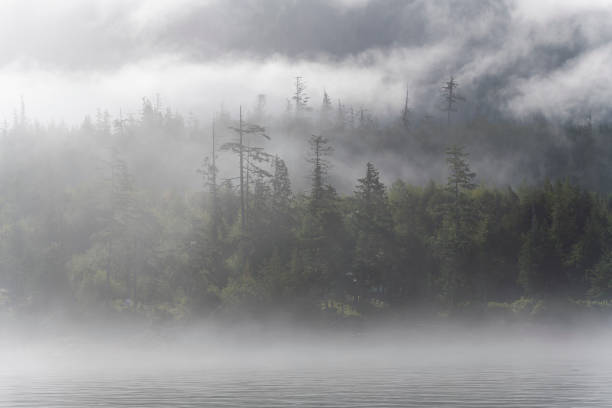 istock Vancouver Island Mist, Telegraph Cove, Canada 2155087609