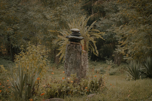 The image depicts a serene natural scene centered around a stack of balanced stones placed atop a tree stump. Surrounding this central element are various plants, including fern-like foliage with yellow-green leaves radiating from the base of the stump, adding a vibrant contrast to the scene. The background is softly blurred but reveals dense vegetation, suggesting a woodland area or a well-planted garden. The foreground is dotted with orange flowers, possibly poppies, providing small bursts of color against the muted tones of the rest of the image.
This image is captivating due to its representation of balance and tranquility in nature, often associated with concepts such as Zen and mindfulness. The careful arrangement of the stones in ascending order of size creates a sense of harmony and stability. This is significant as it can evoke feelings of peace and be used to promote relaxation or illustrate concepts related to nature, balance, meditation practices, or artistic installations in natural settings. The combination of natural elements and deliberate composition offers a visual metaphor for serenity and the interconnectedness of the natural world. The vibrant yet calming palette and the balanced stone arrangement make it an ideal representation of natural harmony and aesthetic beauty, emphasizing the restorative power of nature and the importance of mindfulness in our daily lives. escena natural serena con piedras equilibradas en el tocón de un árbol rodeado de follaje similar a un helecho y flores anaranjadas, que evoca conceptos de zen, atención plena y la armonía y estabilidad que se encuentran en la naturaleza.
