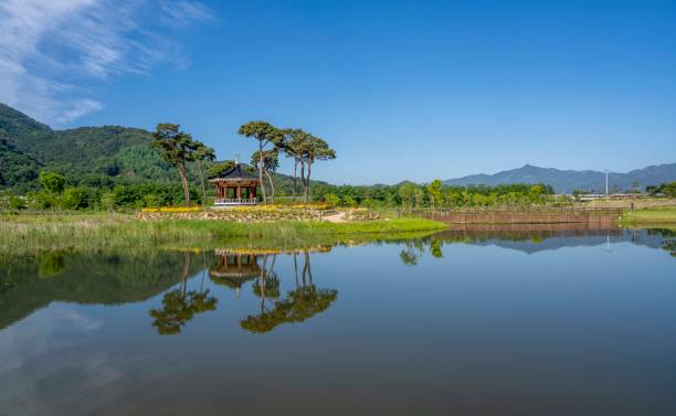 istock Pavilion at the Ecological Wetland Park 2155090762