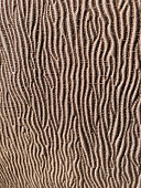 colorful-woolen-textile-pattern-close-up-in-italy.jpg?b=1&s=170x170&k=20&c=pzIk6i8wmnFdaX5buzD-dDt7b2Y3asognlo82M-Pw30=