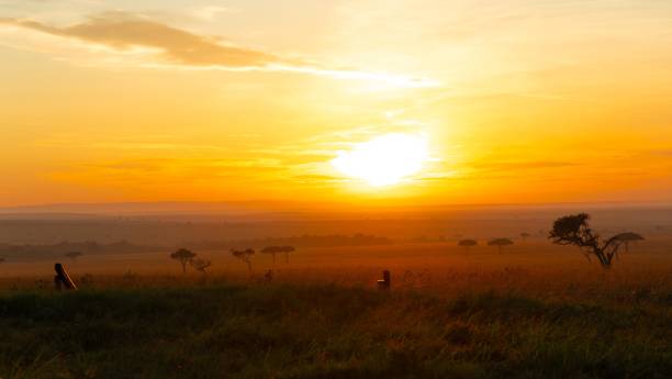 istock Sunrise in Masai Mara 2155094072