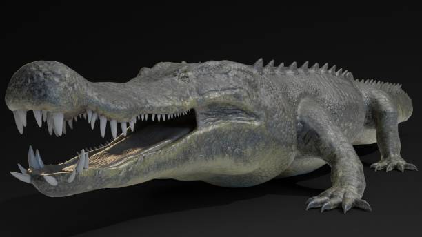 istock Deinosuchus Big Crocodile Model of background, 3d rendering 2155094106