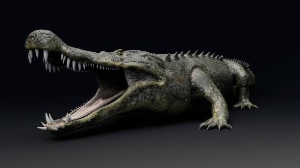 istock Deinosuchus Big Crocodile Model of background, 3d rendering 2155094112