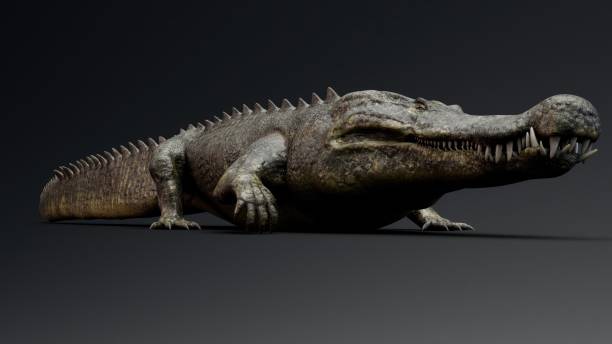 istock Deinosuchus Big Crocodile Model of background, 3d rendering 2155094116