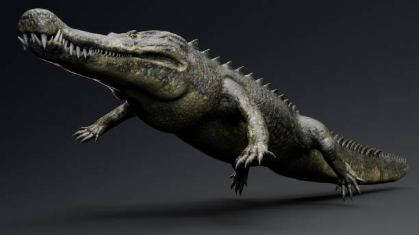 istock Deinosuchus Big Crocodile Model of background, 3d rendering 2155094121