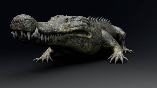 istock Deinosuchus Big Crocodile Model of background, 3d rendering 2155094123