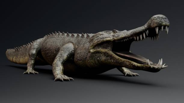 istock Deinosuchus Big Crocodile Model of background, 3d rendering 2155094124