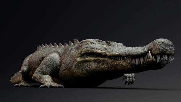 istock Deinosuchus Big Crocodile Model of background, 3d rendering 2155094125