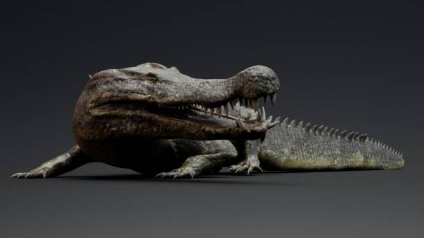 istock Deinosuchus Big Crocodile Model of background, 3d rendering 2155094145