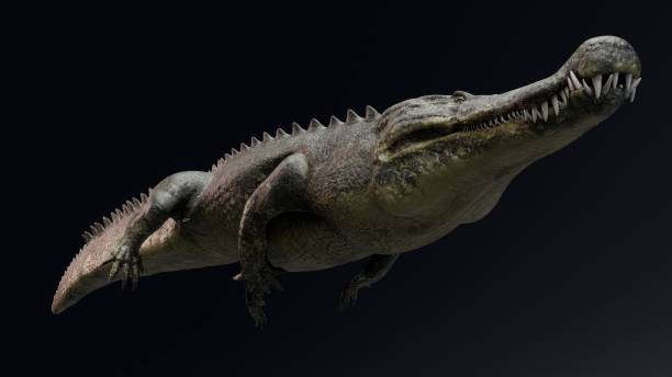 istock Deinosuchus Big Crocodile Model of background, 3d rendering 2155094146