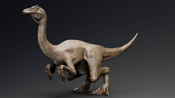 istock Gallimimus Model of background, 3d rendering 2155094324