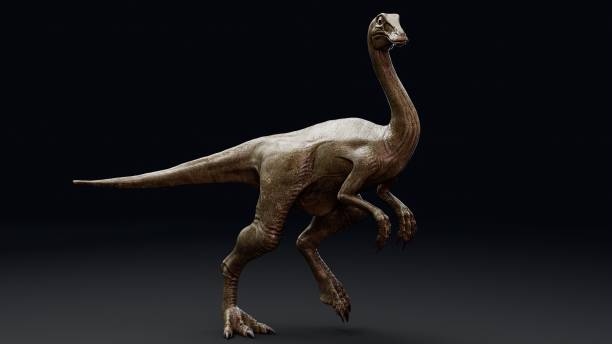 istock Gallimimus Model of background, 3d rendering 2155094332
