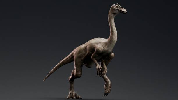 istock Gallimimus Model of background, 3d rendering 2155094344