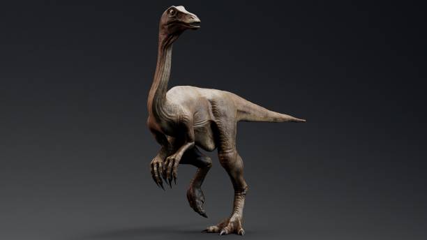 istock Gallimimus Model of background, 3d rendering 2155094346