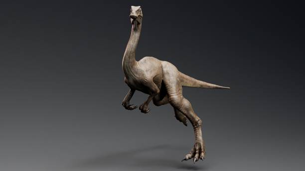 istock Gallimimus Model of background, 3d rendering 2155094348