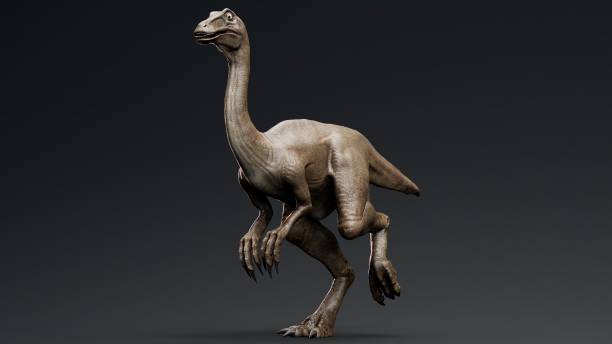 istock Gallimimus Model of background, 3d rendering 2155094368