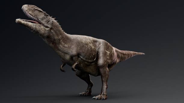 istock Carcharodontosaurus Realistic Model of background, 3d rendering 2155094540