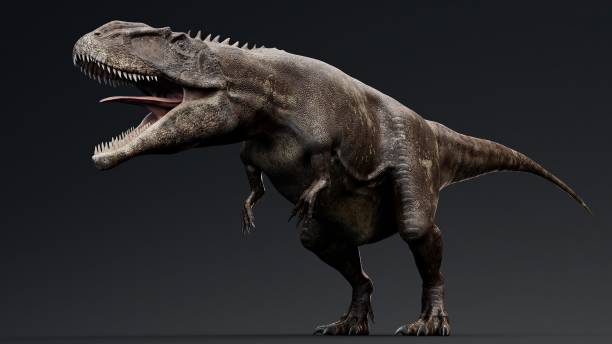 istock Carcharodontosaurus Realistic Model of background, 3d rendering 2155094692