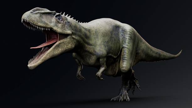 istock Carcharodontosaurus Realistic Model of background, 3d rendering 2155094698