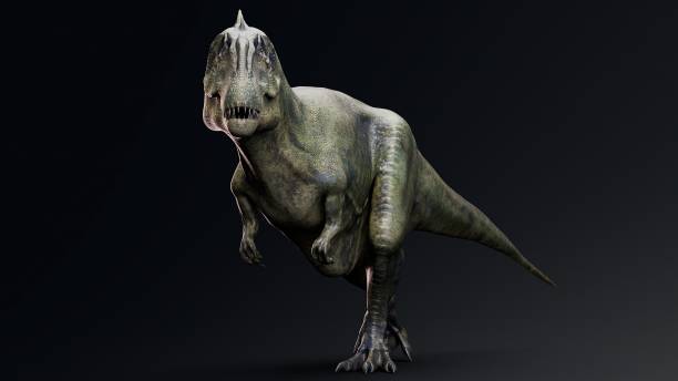 istock Carcharodontosaurus Realistic Model of background, 3d rendering 2155094715