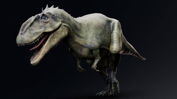 istock Carcharodontosaurus Realistic Model of background, 3d rendering 2155094717
