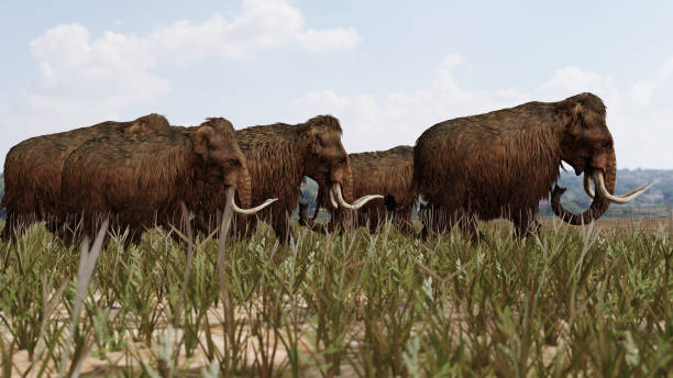 istock Woolly Mammoths Walking Across the Great Plains 2155095589