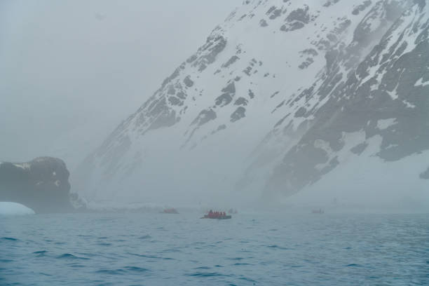 Elephant Island is world-renowned because it was the temporary home of Ernest Shackleton's fateful Endurance crew. Point Wild was named for Frank Wild, leader of the party from Shackleton's shipwrecked expedition which camped and managed to survive on the point for four and a half months until they were rescued on 30 August 1916.