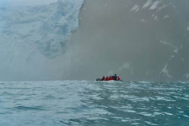 istock Point Wild at Elephant Island, Antarctic 2155097091