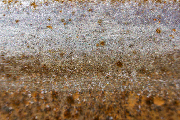 Brown and White Substance Close Up