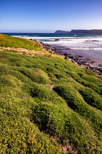 istock Cloudy Bay, Bruny Island, Tasmania, Australia 2155099222