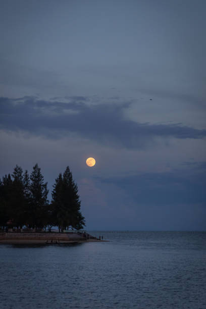 Lake with full moon over a pine tree in twilight sky. Beautiful landscape.