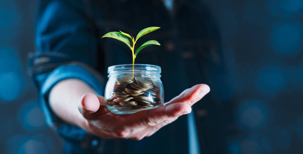 istock A person is holding a jar with a plant inside and coins 2155111259
