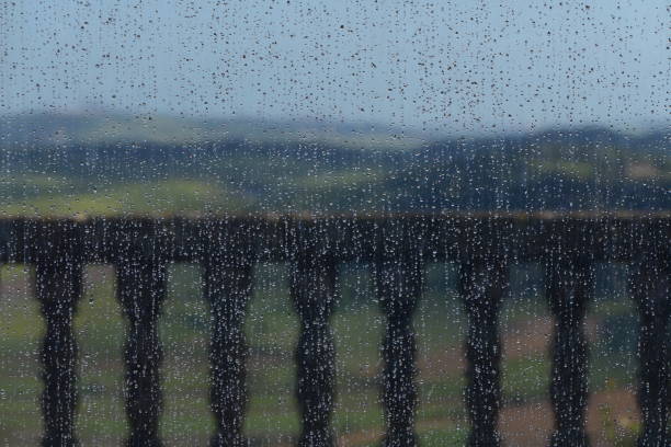 Vejer de la Frontera, rural landscape after the rain