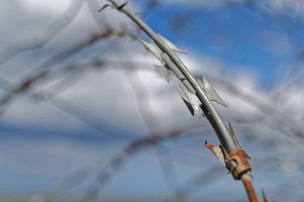 istock close up of barbelet wire 2155116332
