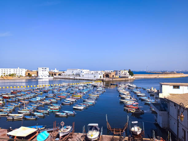 view of the Algiers fishery