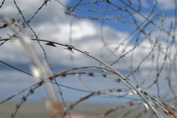 close up of barbelet wire
