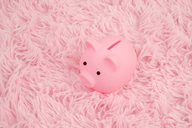 Piggy bank on the shelf.