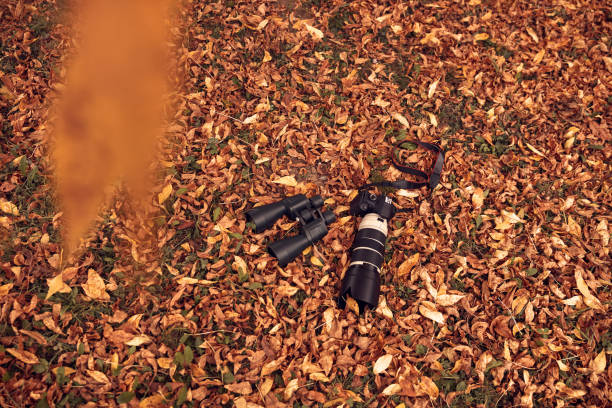 istock Binoculars and camera for bird and animal watching in nature. 2155124109