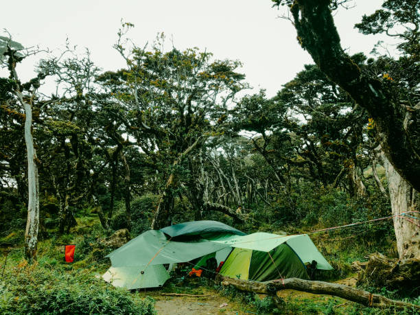 istock Camping area of ​​post 10 Mount Bawakaraeng 2155128133