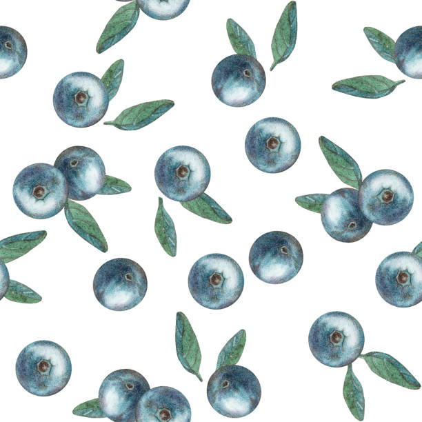 istock Seamless pattern with a summer berry - blueberry with leaves. A garden berry in close-up. Watercolor illustration on a white background. Art. Food, drinks. Template for the design 2155130972