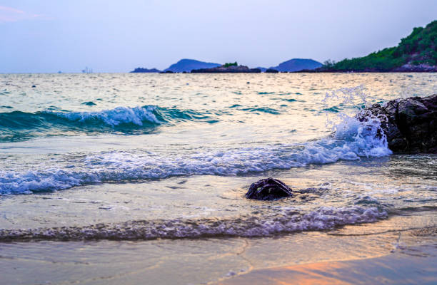 Beautiful sandy beach and sea in the evening light, summer background